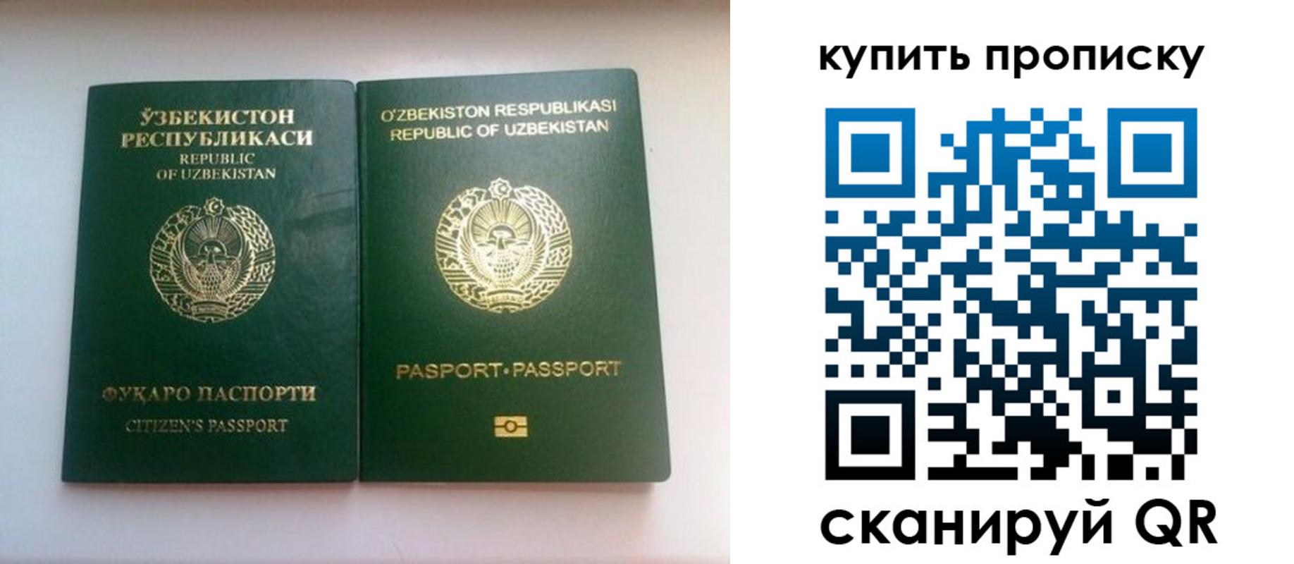 прописка в квартире в Новом Осколе